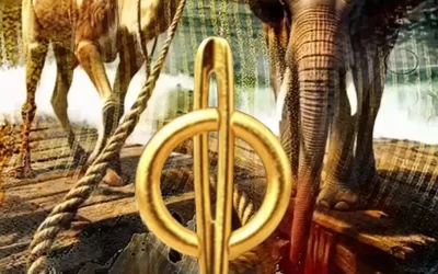 Camel Through the Eye of a Needle